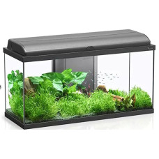 AQ. AQUADREAM 80x30x45 COR001 EQP LEDS